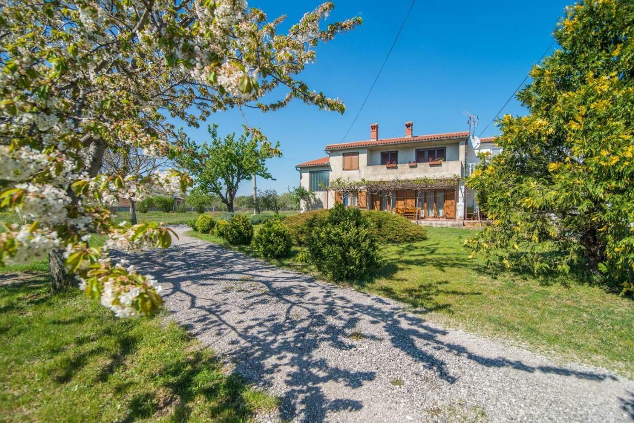 Apartment With Terrace In Filipana Marcana Экстерьер фото